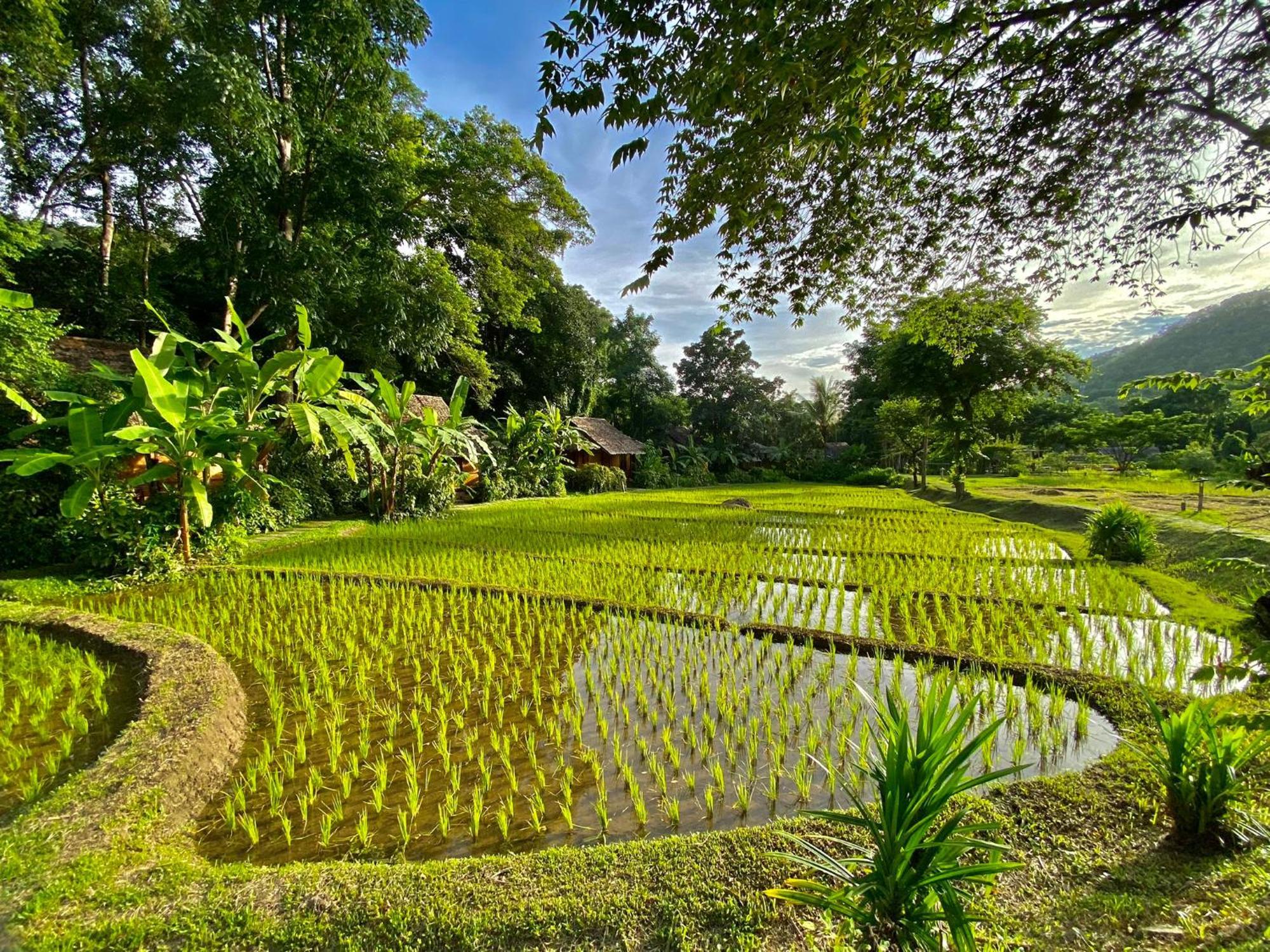 Fern Resort Mae Hong Son Exteriör bild