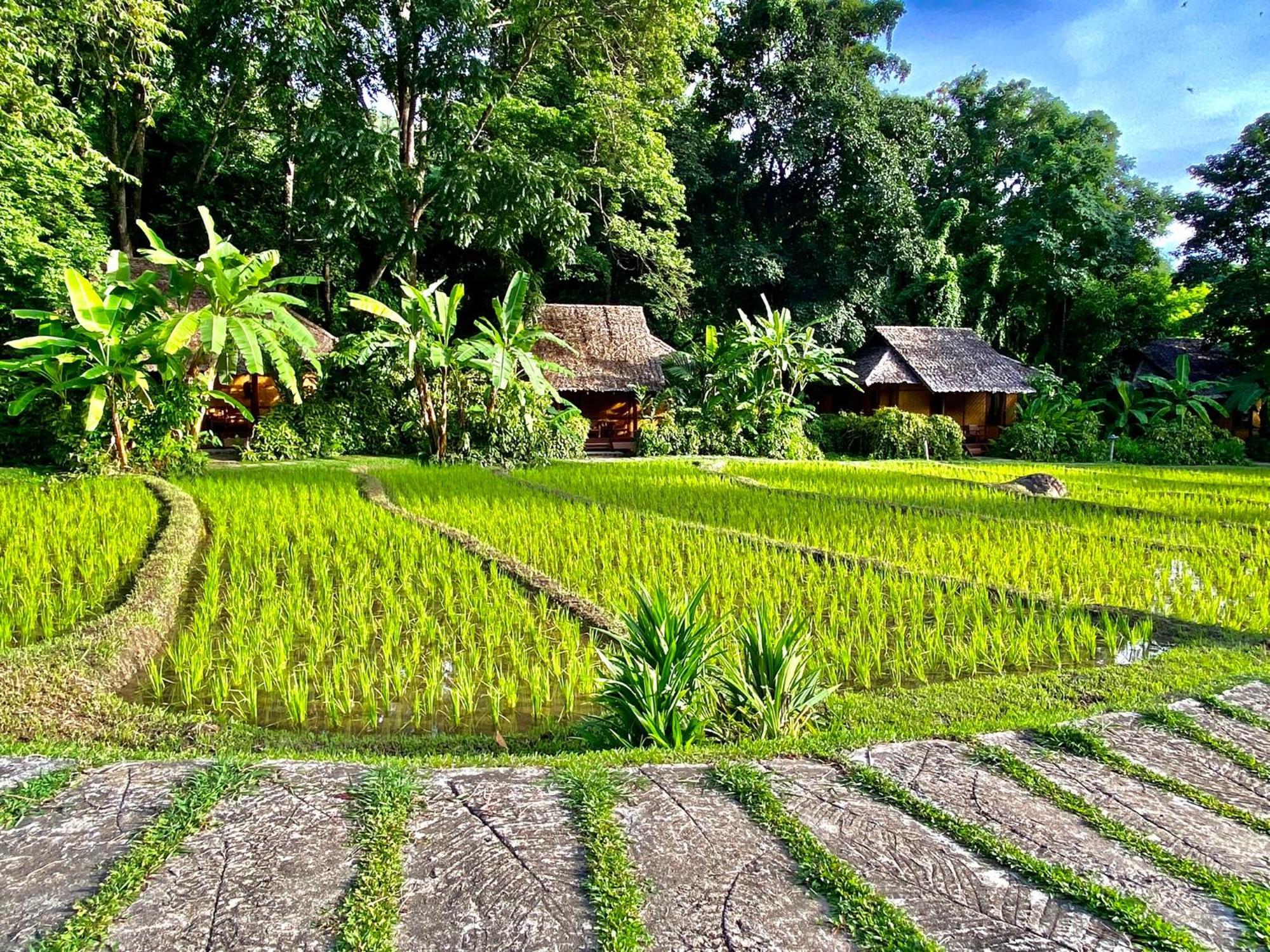 Fern Resort Mae Hong Son Exteriör bild