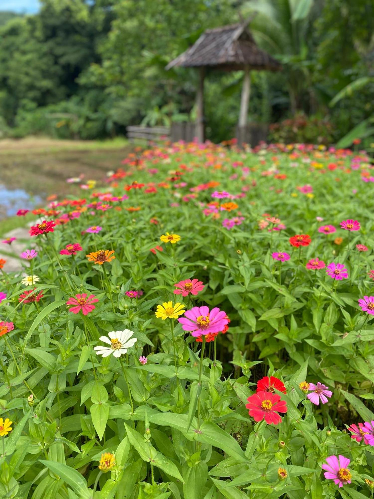 Fern Resort Mae Hong Son Exteriör bild