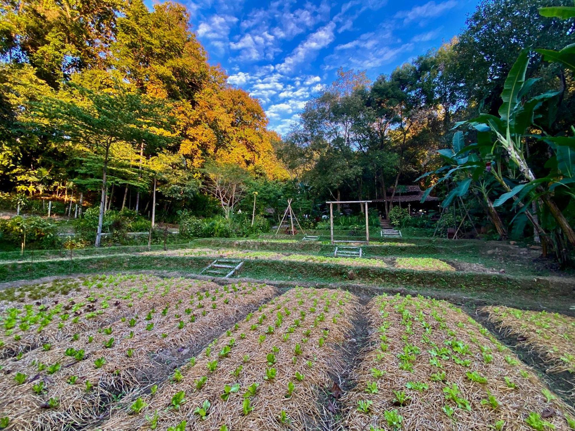 Fern Resort Mae Hong Son Exteriör bild