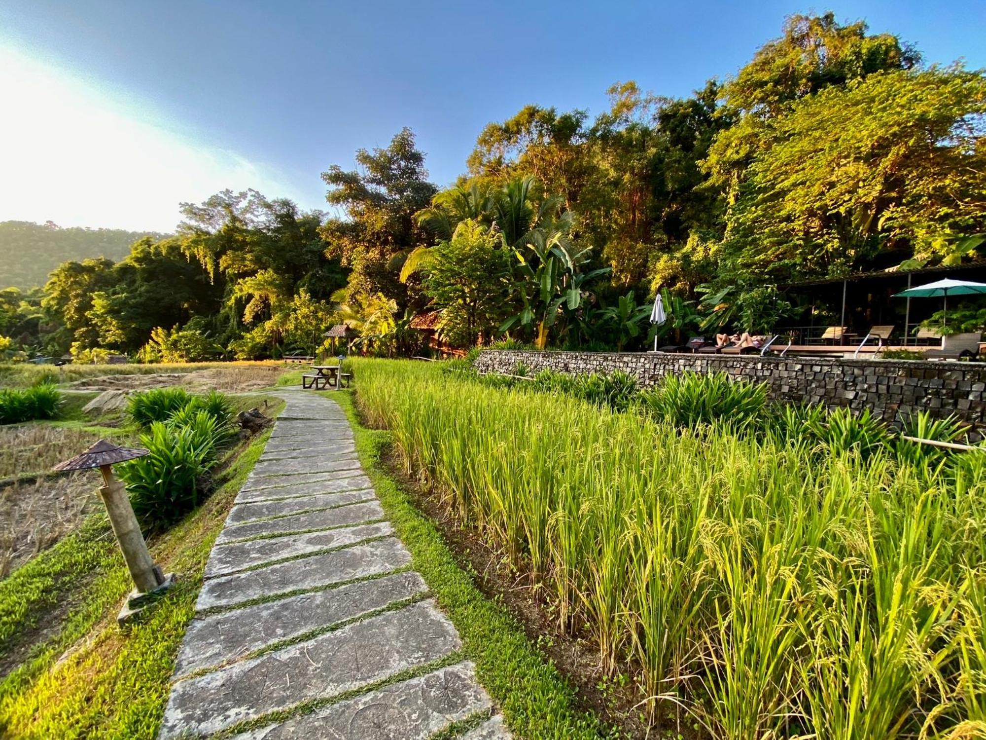 Fern Resort Mae Hong Son Exteriör bild