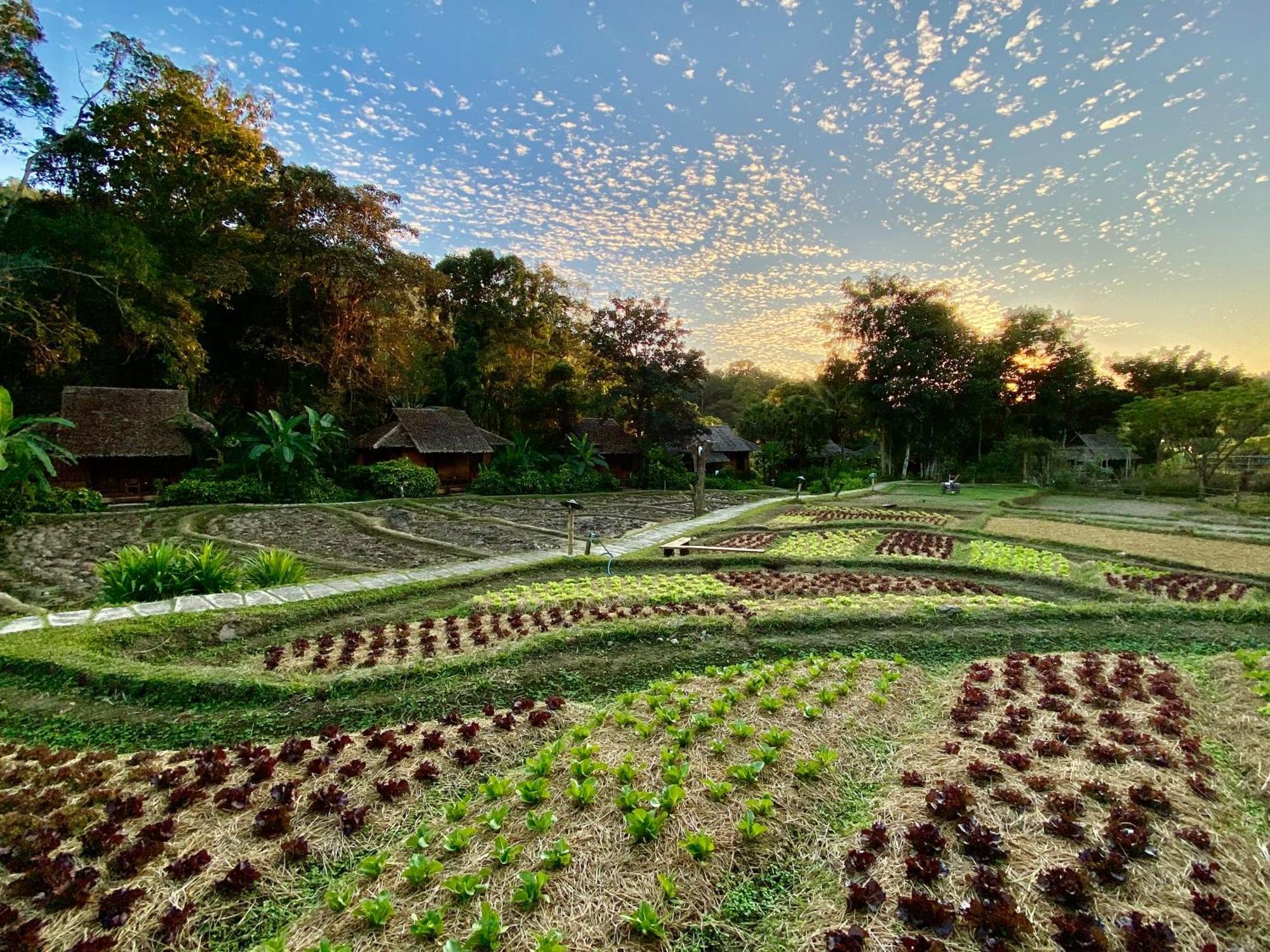 Fern Resort Mae Hong Son Exteriör bild
